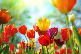 Is spring actually the best time to sell a house? Is spring actually the best time to sell a house?